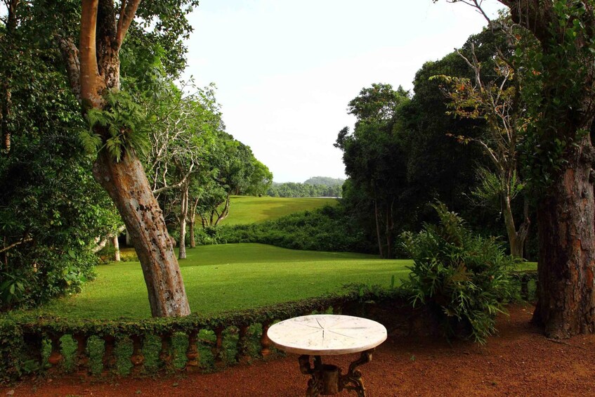 Picture 1 for Activity From Bentota or Beruwala: Geoffrey Bawa Country Estate Tour