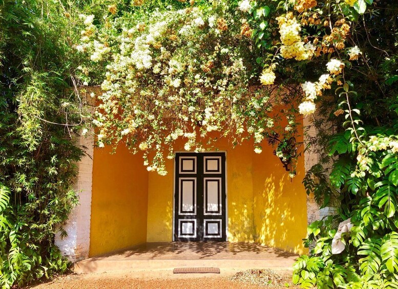 Picture 3 for Activity From Bentota or Beruwala: Geoffrey Bawa Country Estate Tour