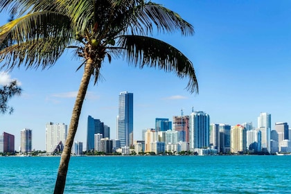 Miami: Guided City Tour and Boat Ride