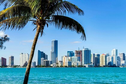 Miami : Visite guidée de la ville et promenade en bateau