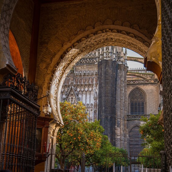 Picture 2 for Activity Costa del Sol: The Alcázar & Seville Cathedral Private Tour