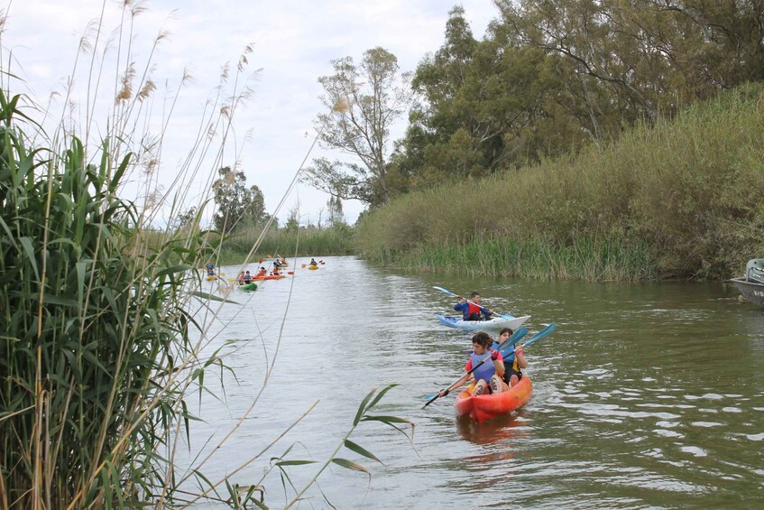 Picture 5 for Activity Ebro Delta: Guided Kayak Tour to Gracia Island