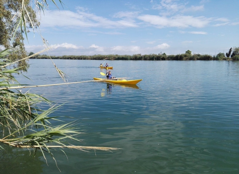 Picture 3 for Activity Ebro Delta: Guided Kayak Tour to Gracia Island