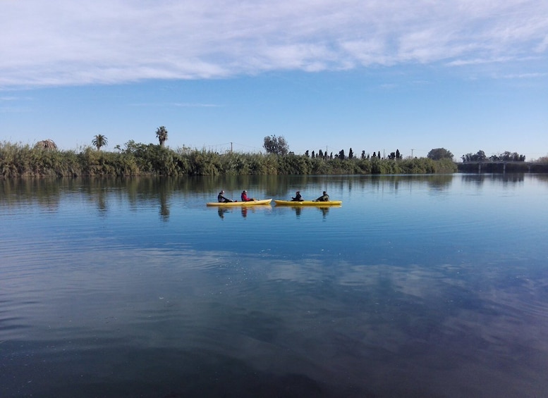 Picture 1 for Activity Ebro Delta: Guided Kayak Tour to Gracia Island