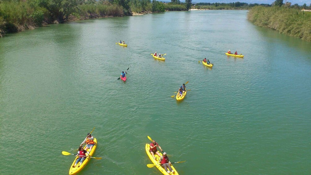 Picture 4 for Activity Ebro Delta: Guided Kayak Tour to Gracia Island