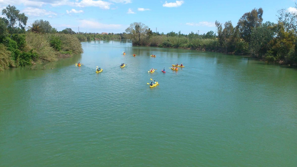 Picture 6 for Activity Ebro Delta: Guided Kayak Tour to Gracia Island