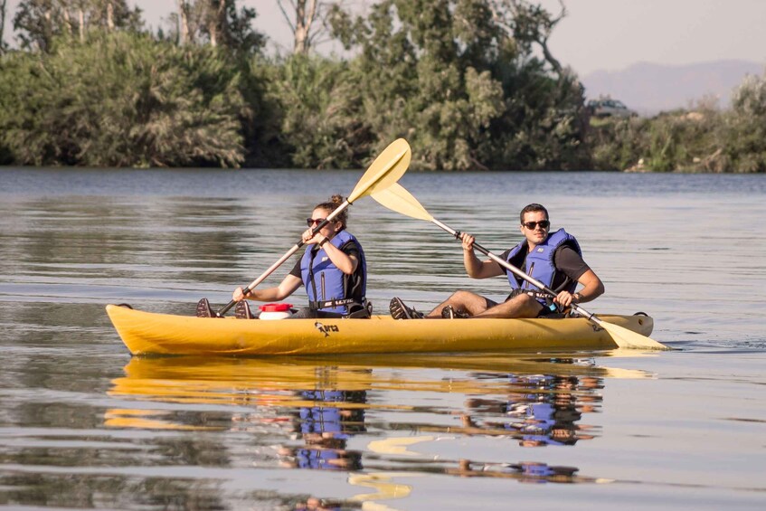Picture 2 for Activity Ebro Delta: Guided Kayak Tour to Gracia Island