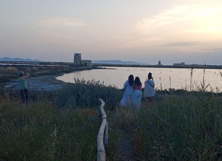 Picture 12 for Activity Trapani: Salt Pans Sunset Tour and Flamingo Way