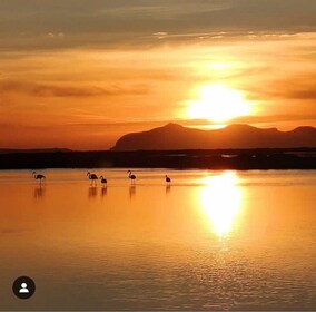 Trapani: Salt Pans Sunset Tour and Flamingo Way