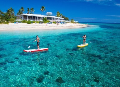 Malamala Island: Full-Day Malamala Beach Club and Cruise