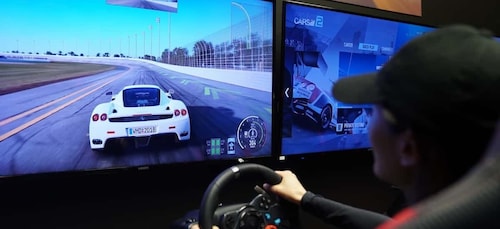 Takapuna: Race Car Simulator