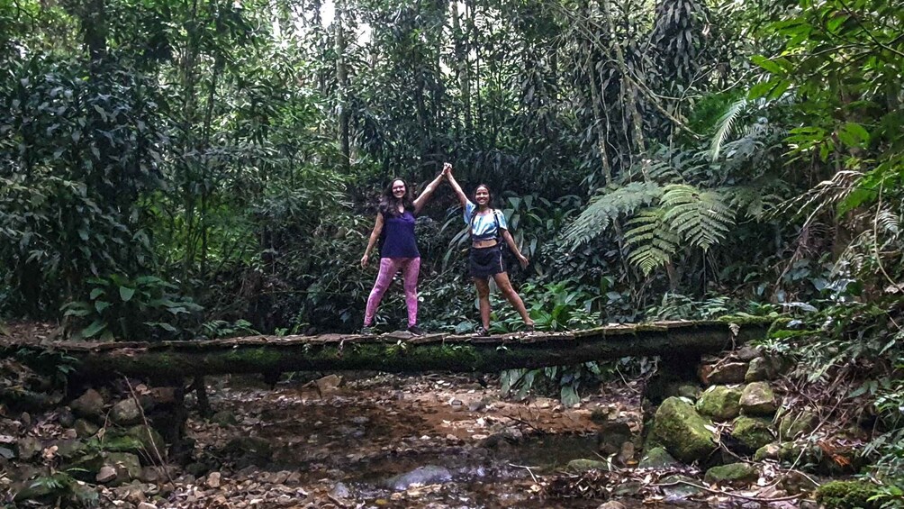 Picture 12 for Activity Rio de Janeiro: Tijuca Forest Waterfall of Souls Hike