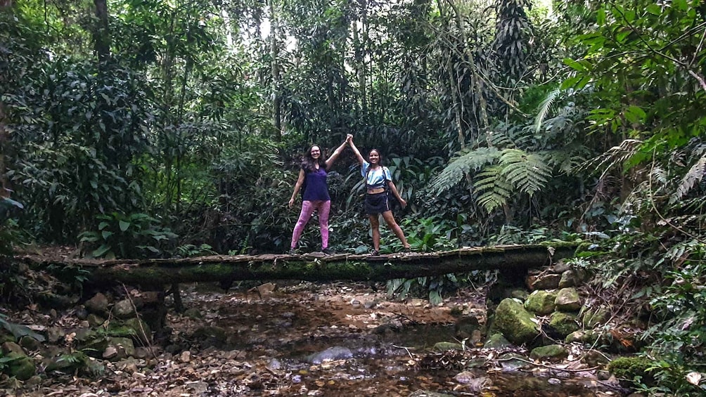 Picture 12 for Activity Rio de Janeiro: Tijuca Forest Waterfall of Souls Hike