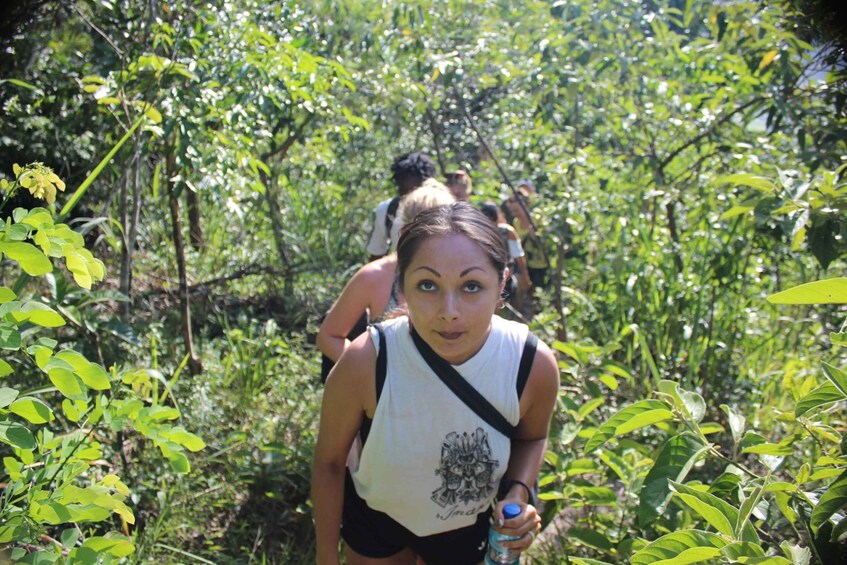 Picture 7 for Activity Rio de Janeiro: Tijuca Forest Waterfall of Souls Hike