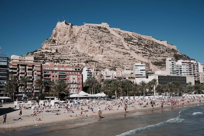 Fra Valencia: Privat dagstur til Alicante med lokal guide