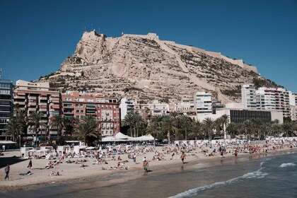 Fra Valencia: Privat dagstur til Alicante med lokal guide