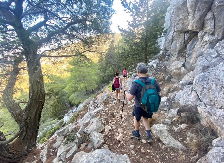 Picture 3 for Activity Rhodes: Akramitis Mountain Guided Hike