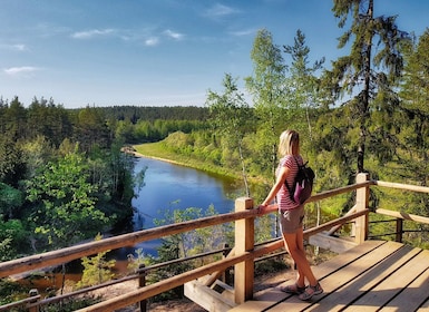 Fra Riga: Gauja nasjonalpark fottur og sightseeingtur