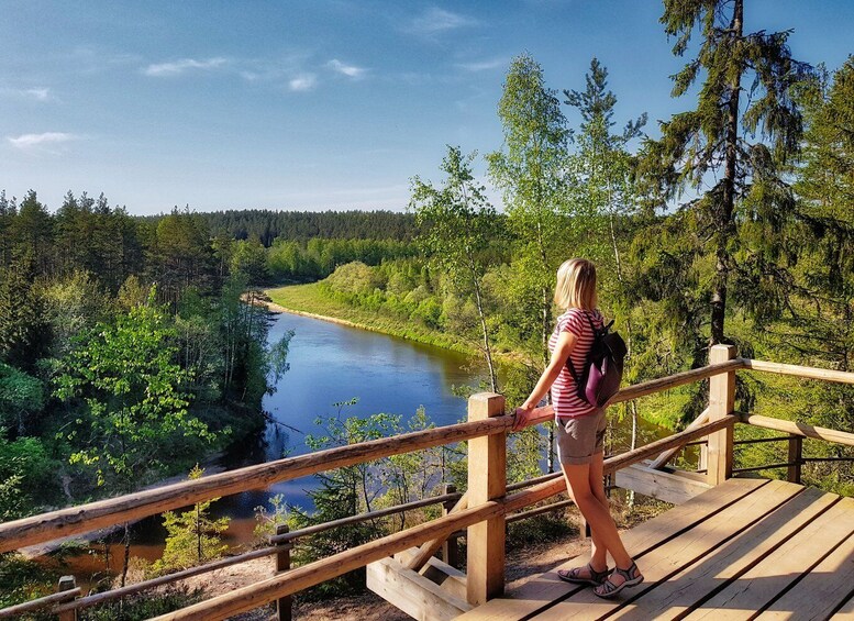 From Riga: Gauja National Park Hiking & Sightseeing Trip