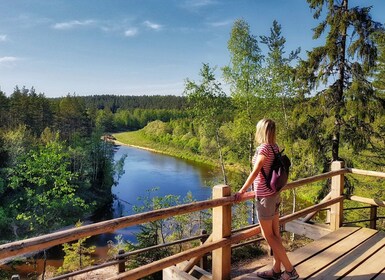 Fra Riga: Gauja nasjonalpark fottur og sightseeingtur