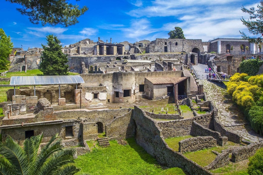 Picture 1 for Activity Pompeii: Private Tour with Hotel Pickup and Entry Ticket