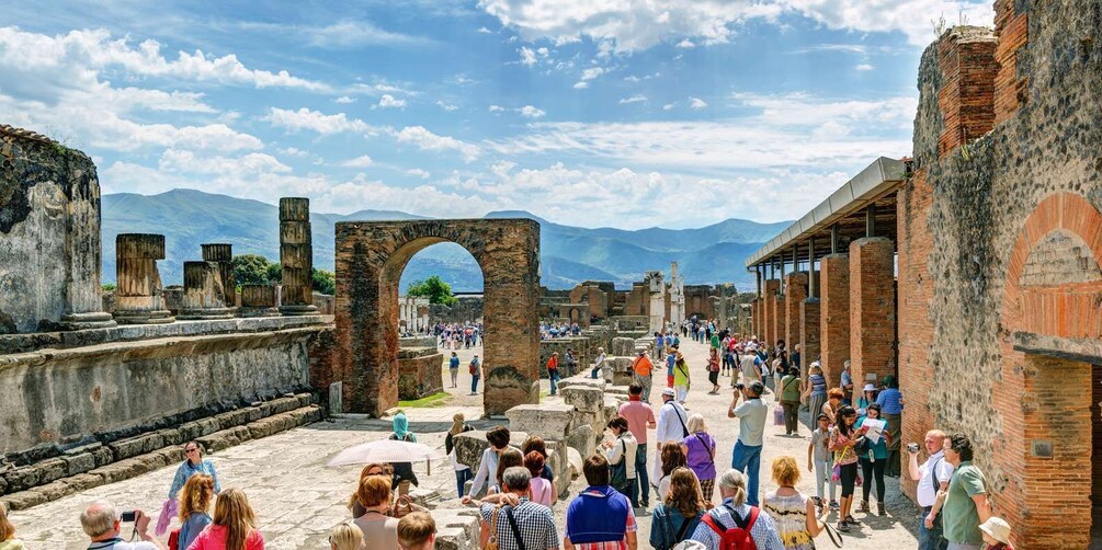 Picture 4 for Activity Pompeii: Private Tour with Hotel Pickup and Entry Ticket