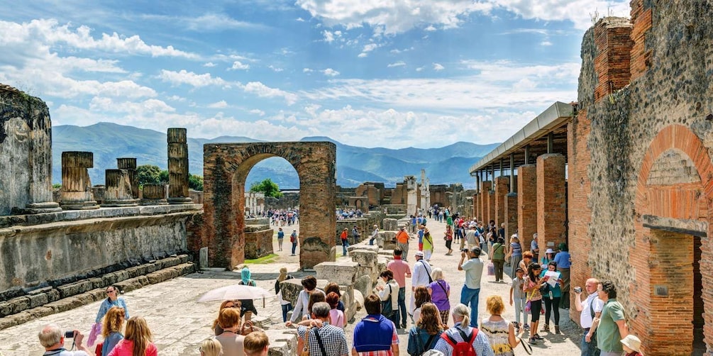 Picture 4 for Activity Pompeii: Private Tour with Hotel Pickup and Entry Ticket