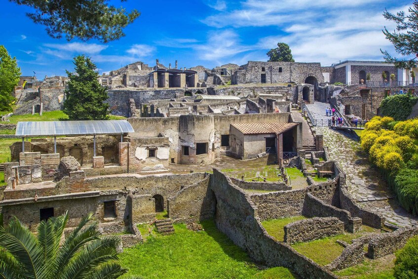 Picture 1 for Activity Pompeii: Private Tour with Hotel Pickup and Entry Ticket