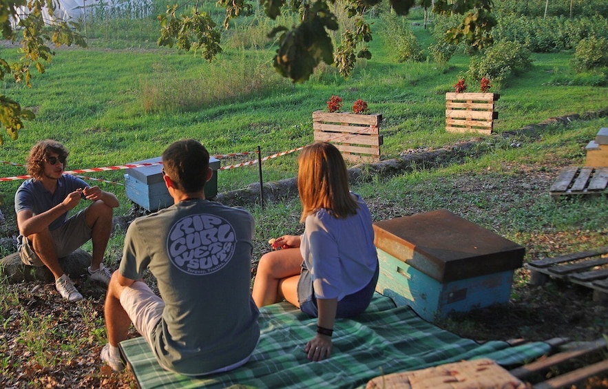 Picture 7 for Activity Lazise: Beekeeping Farm Tour and Tasting Experience