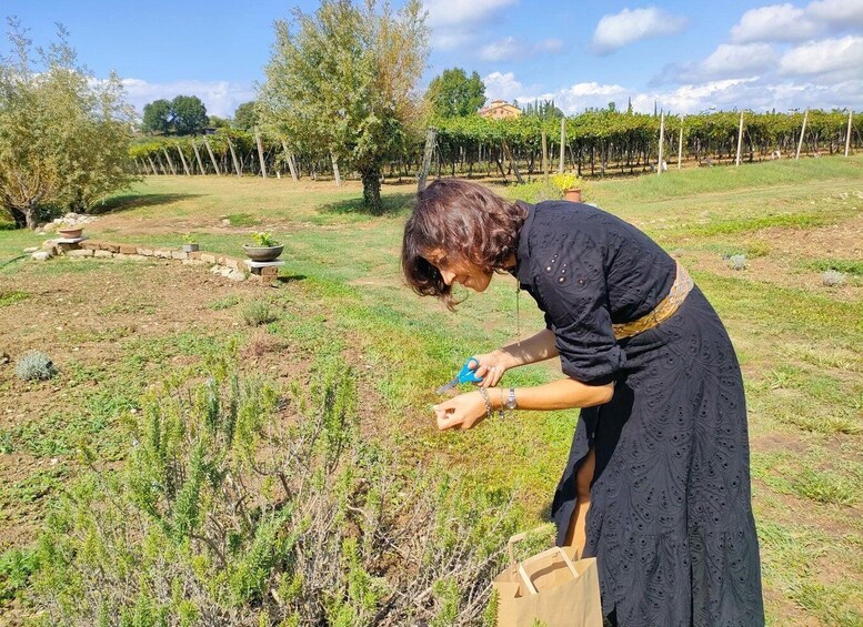 Picture 7 for Activity Lazise: Beekeeping Farm Tour and Tasting Experience