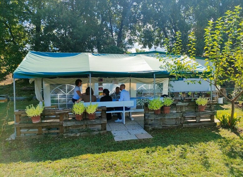 Picture 4 for Activity Lazise: Beekeeping Farm Tour and Tasting Experience