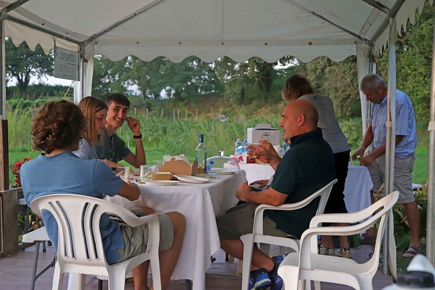 Picture 6 for Activity Lazise: Beekeeping Farm Tour and Tasting Experience