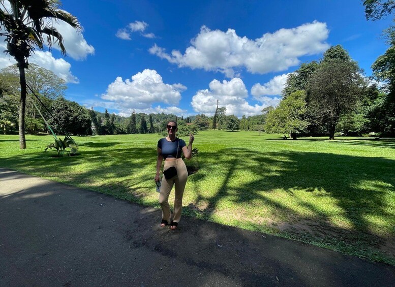 Picture 15 for Activity Colombo/Negombo: Sigiriya, Kandy, Ella 3-Day Trip with Train