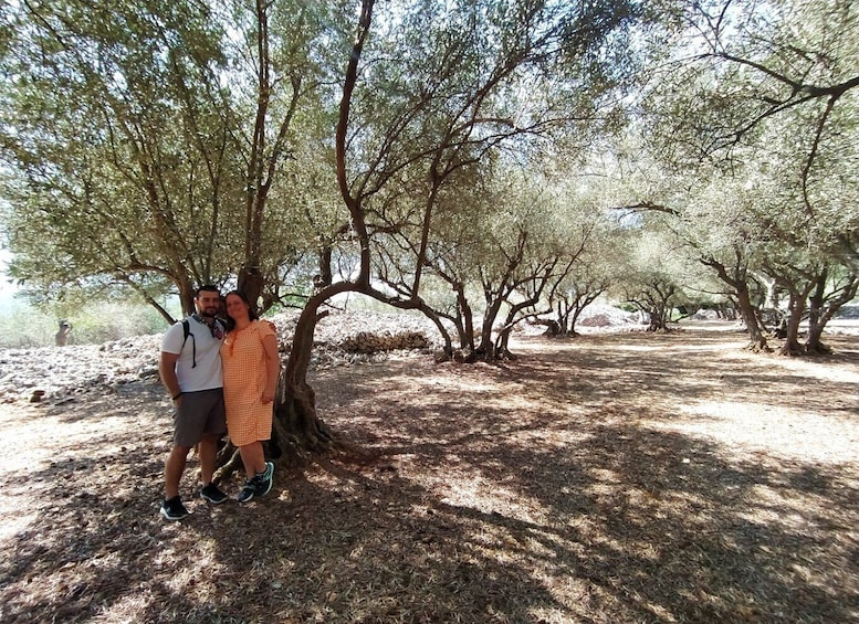 Picture 2 for Activity Cres: Olive Oil Walking Tour with Tastings