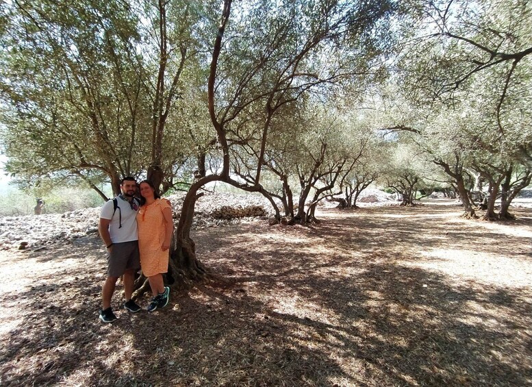 Picture 2 for Activity Cres: Olive Oil Walking Tour with Tastings