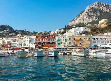 Depuis Naples : Capri et Anacapri en privé excursion