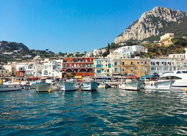 Desde Nápoles: recorrido privado por Capri y Anacapri