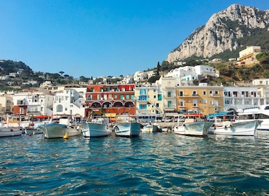 Desde Nápoles: Tour Privado de Capri y Anacapri