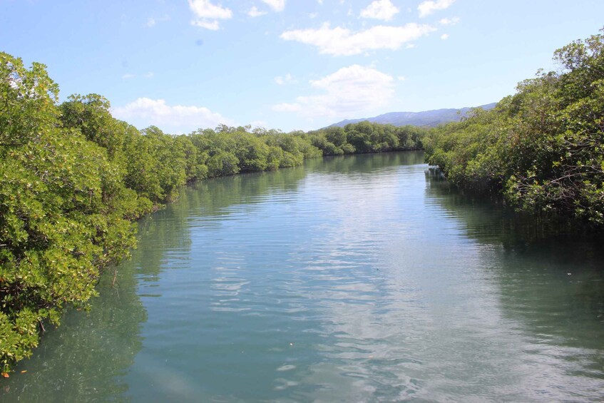 Picture 12 for Activity From Puerto Plata: Cayo Arena Private Catamaran Trip & Lunch