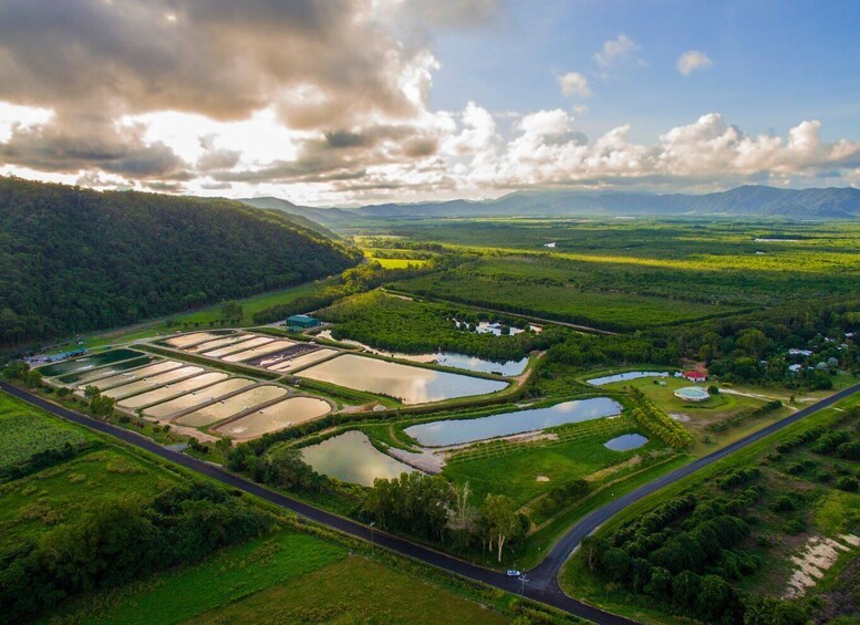 Picture 4 for Activity Wonga: Daintree Saltwater Farm Tour