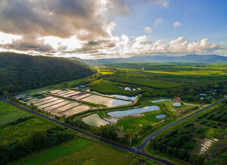 Picture 4 for Activity Wonga: Daintree Saltwater Farm Tour