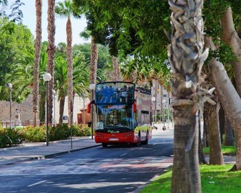 Cartagena, Spain: Panoramic Double-Decker Bus Tour