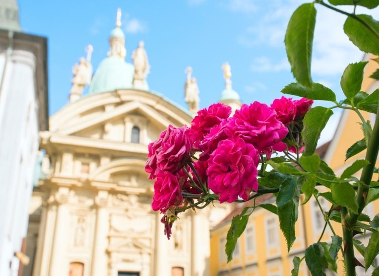 Picture 5 for Activity Graz: Top Churches Private Walking Tour with Guide