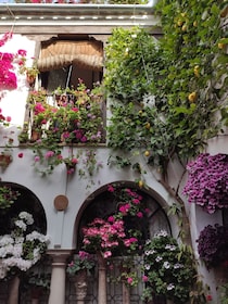 Córdoba: Private Bike Highlights Tour with Personal Guide