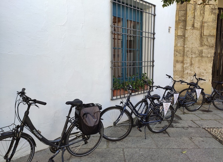 Picture 3 for Activity Córdoba: Private Bike Highlights Tour with Personal Guide