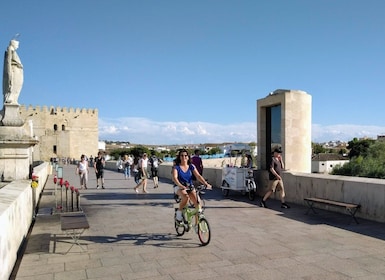 Córdoba: recorrido privado en bicicleta por lo más destacado con guía perso...