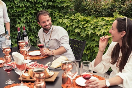 Lac de Garde : Visite des vignobles et dégustation de vin