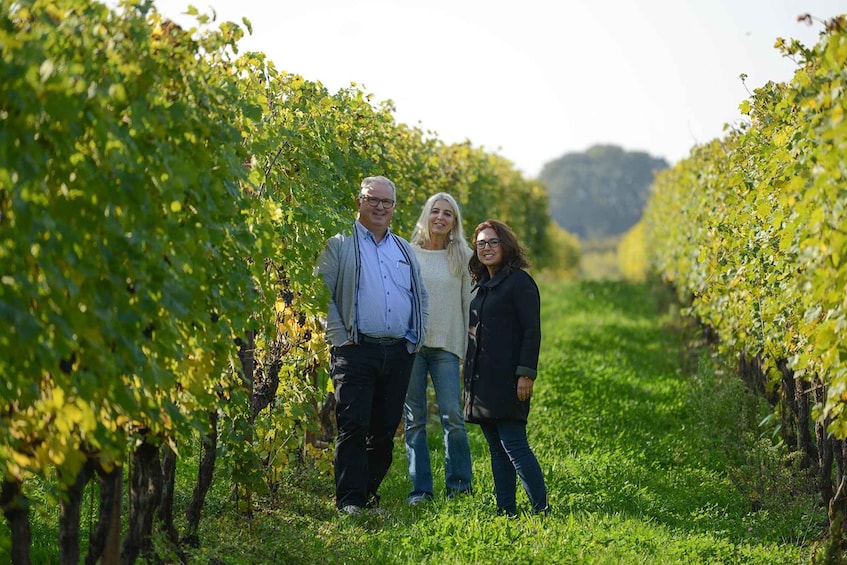 Picture 11 for Activity Lake Garda: Vineyards Tour and Wine Tasting