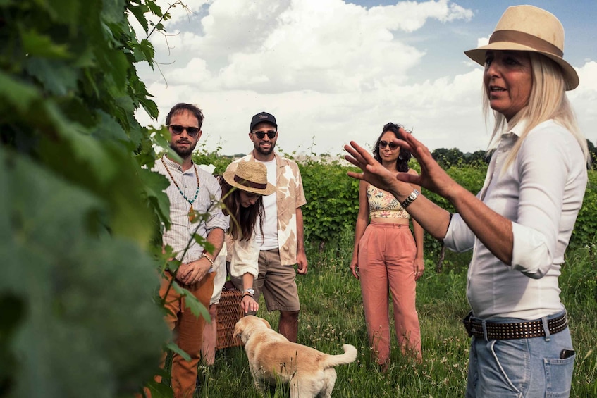 Lake Garda: Vineyards Tour and Wine Tasting