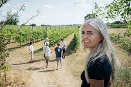 Gardasjøen: Vingårdstur og vinsmaking